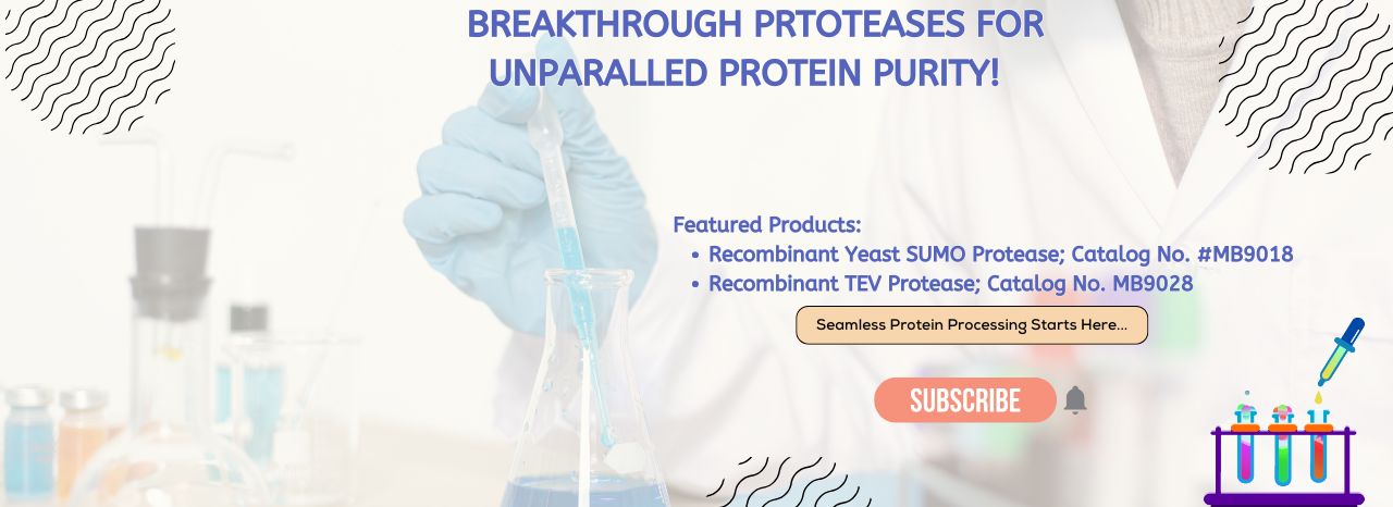 Advanced Proteases